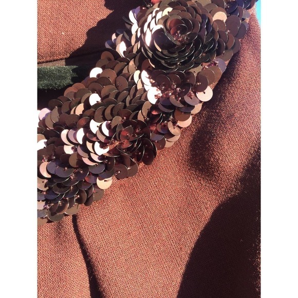 Talbots Womens Sleeveless Wool Dress Size 18 Cola Red Sequins Holiday Christmas - Picture 6 of 8